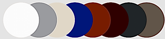 Alternate Text